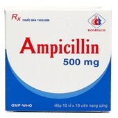 Comprare Ampicillina Generico